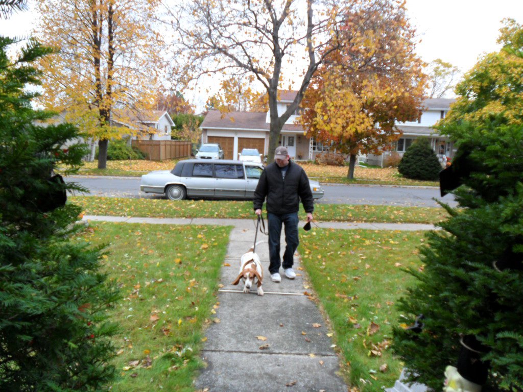 Marc J
            Gilbert with limo and basset hound